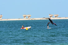 Load image into Gallery viewer, Wingfoil Lessons Blue Ocean Sports