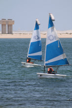 Load image into Gallery viewer, Zest Sailing boat